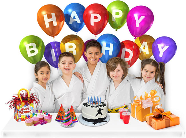 DLux Karate University Karate Birthday Party